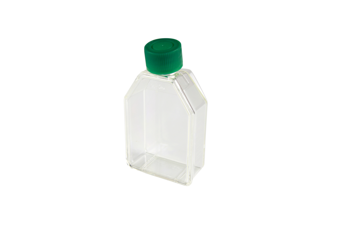 Flask Holder Sans Ligne Esthetique - GI0625