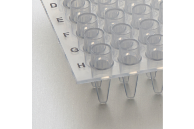 Image – Non-Skirted PCR Plates